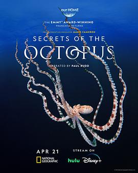 章鱼的秘密第一季